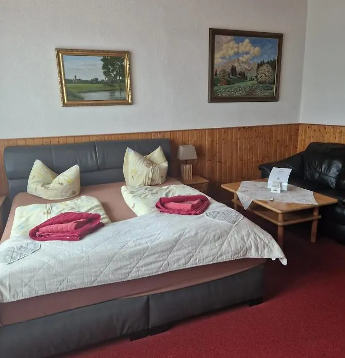 Pension Zur Elbe-1